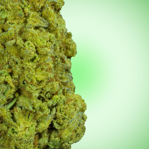 Apple Fritter (FREE)