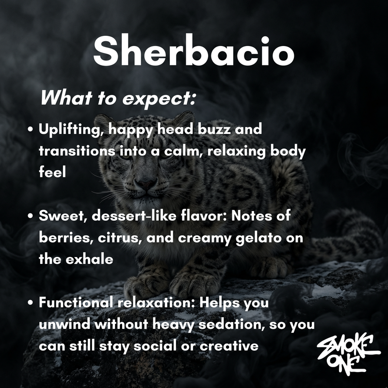 Sherbacio