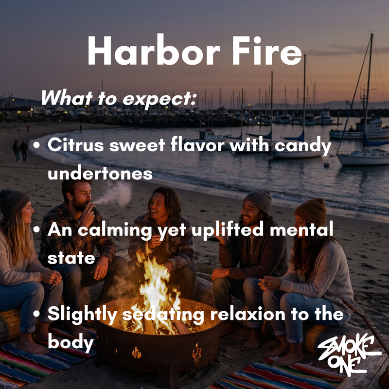 Harbor Fire