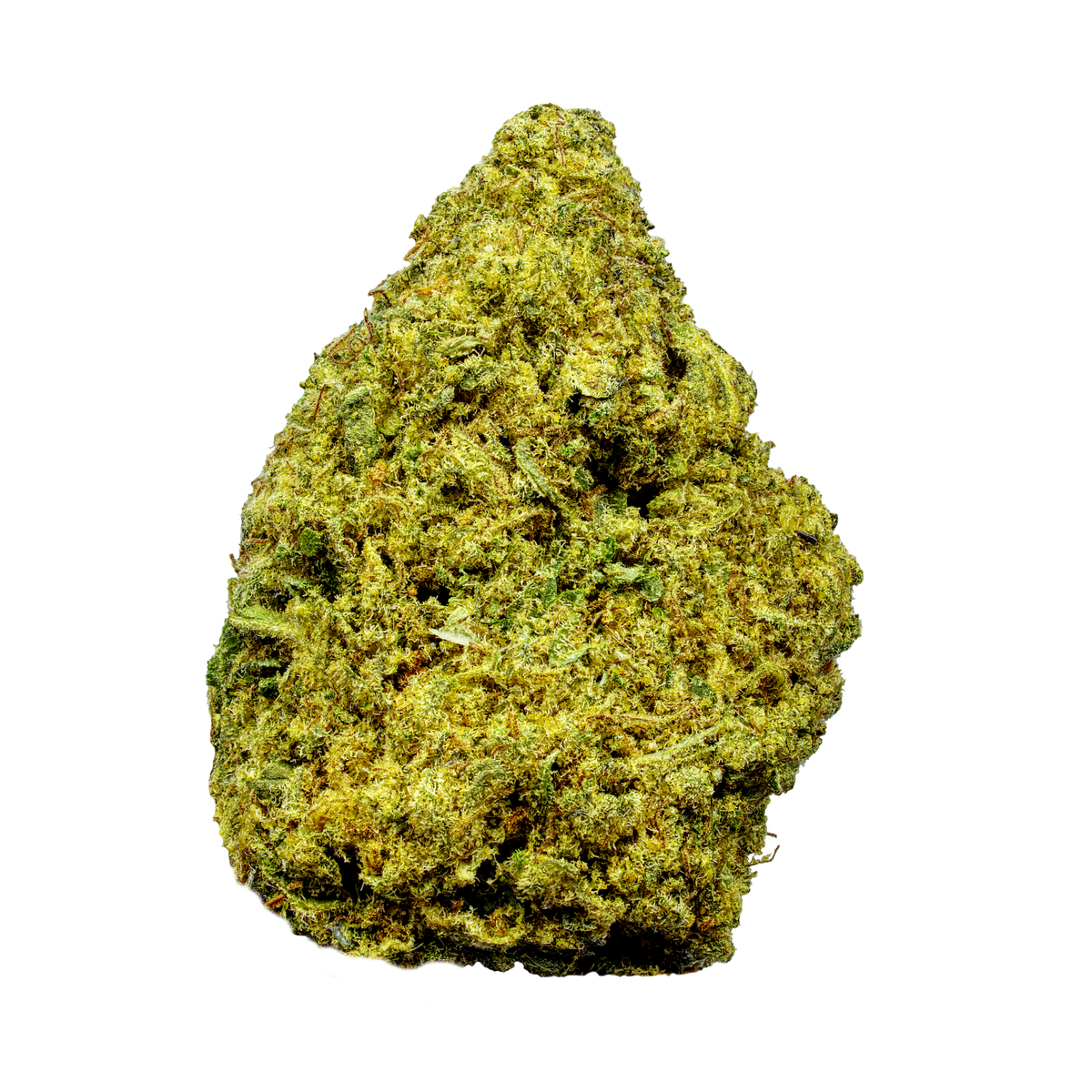 Royal Gelato