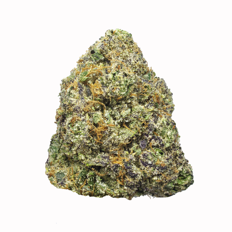 Gelato 41