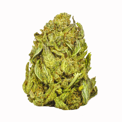 Gorilla Glue