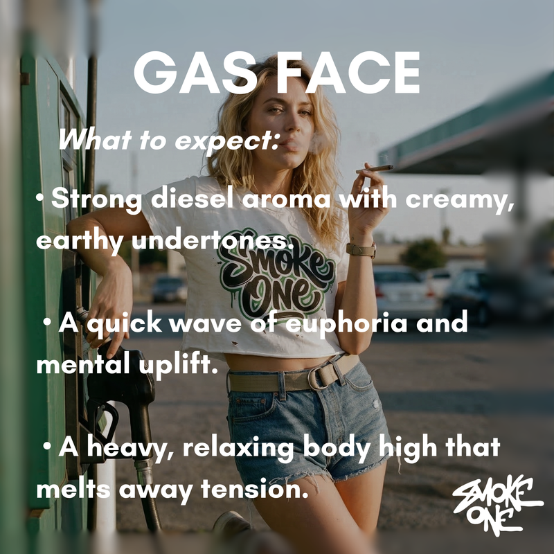 Gas Face Trim (Exotic)