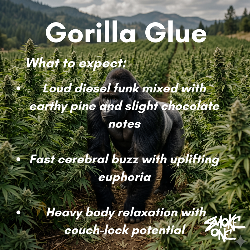 Gorilla Glue
