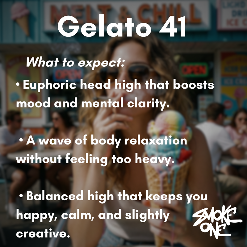 Gelato 41