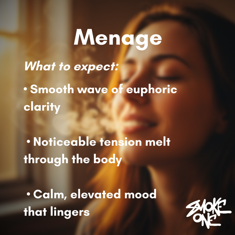Menage