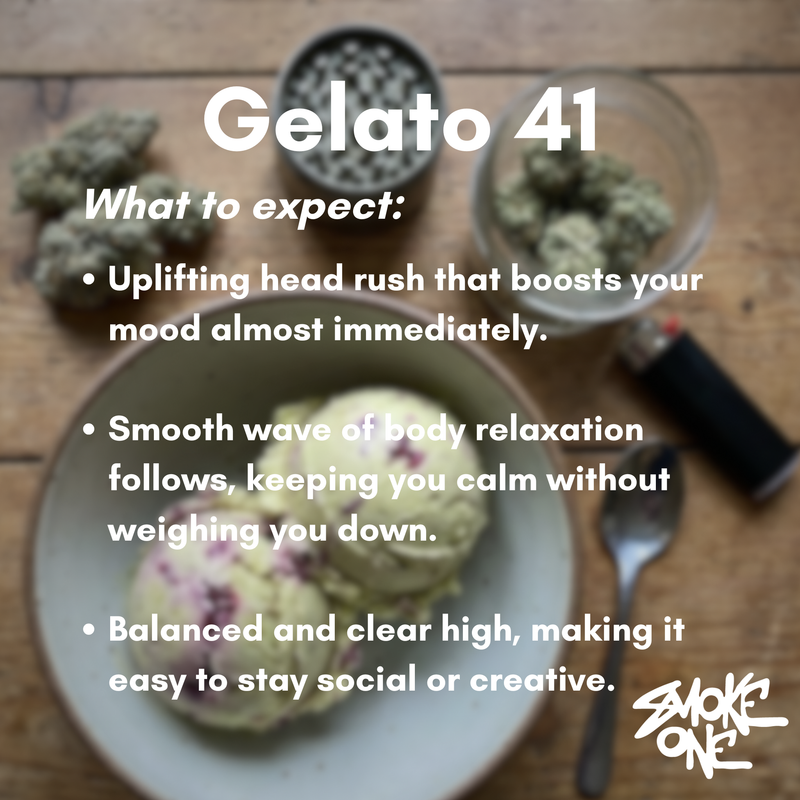 Gelato 41