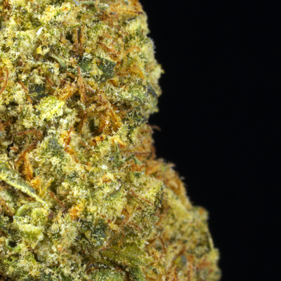 Gelato OG (BOGO)