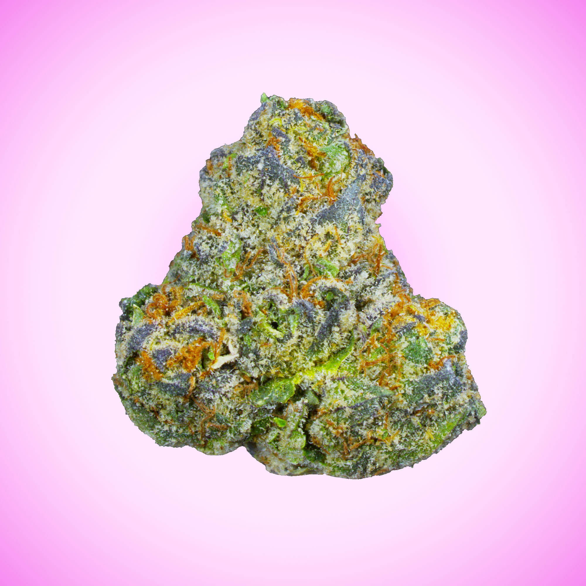 Lemon Cherry Gelato