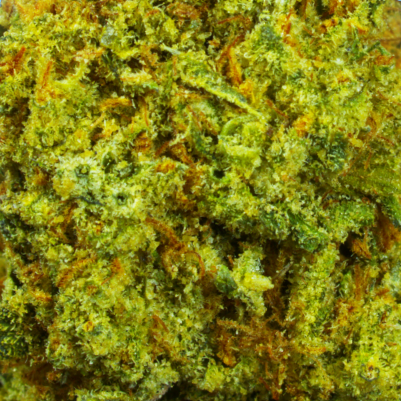 Sour Kush Breath