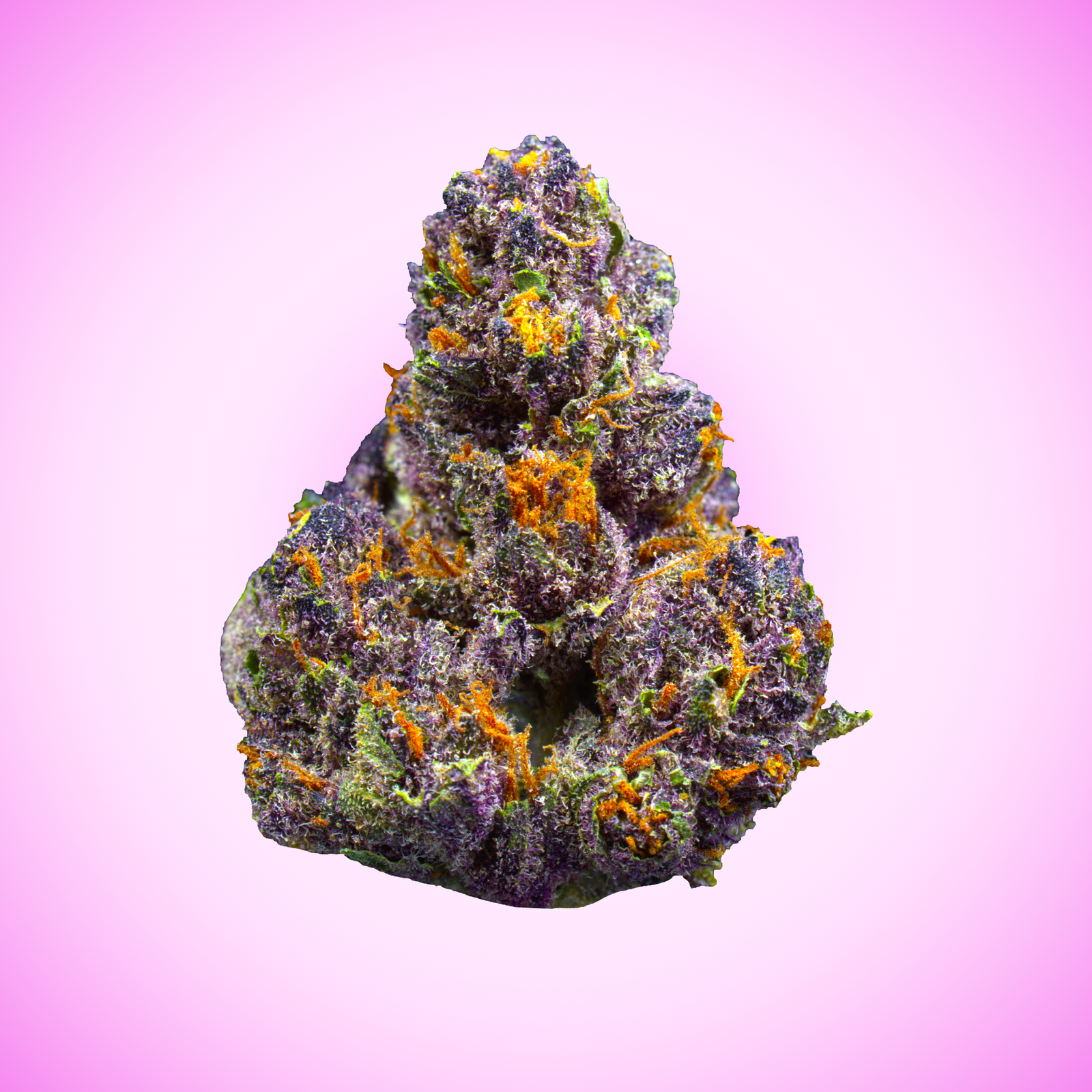 Tropicana Cherry