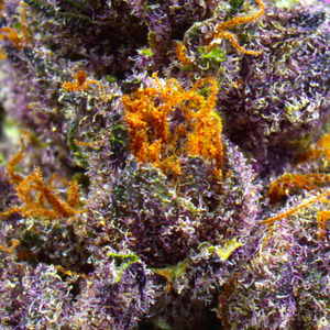 Tropicana Cherry
