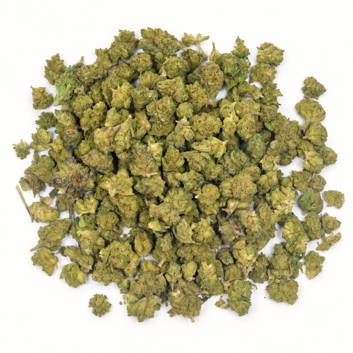Gelato Small
