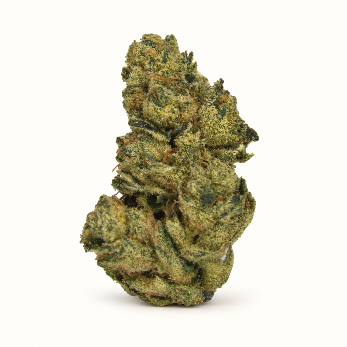 Super Glue