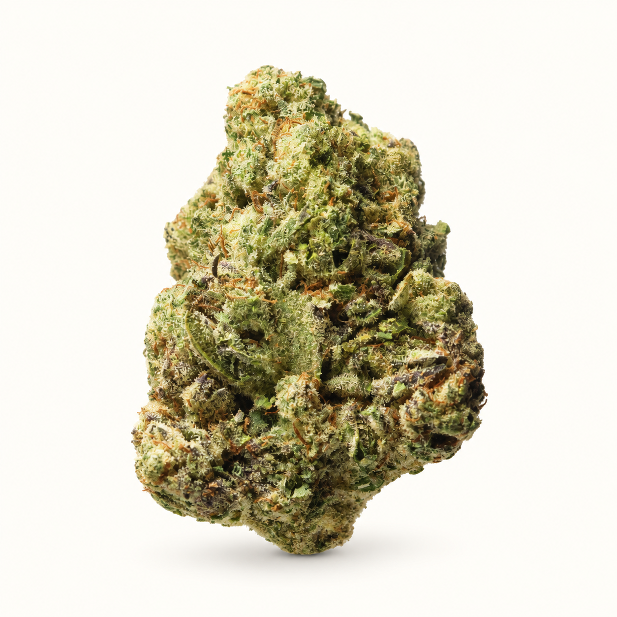 Bubblegum Gelato