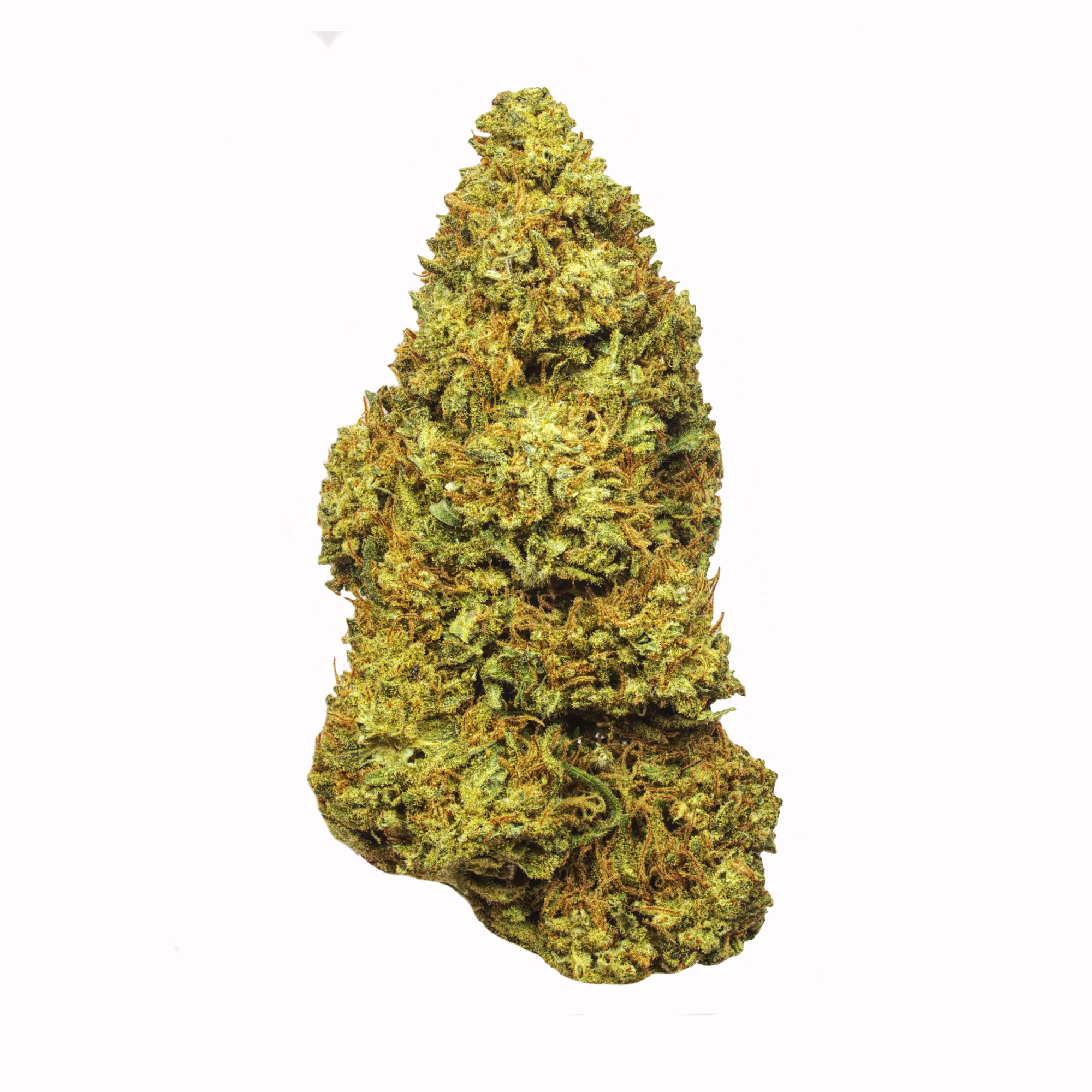 Banana OG (BOGO)