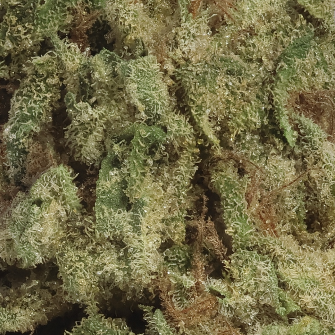 Lemon Headz (Exclusive Offer)