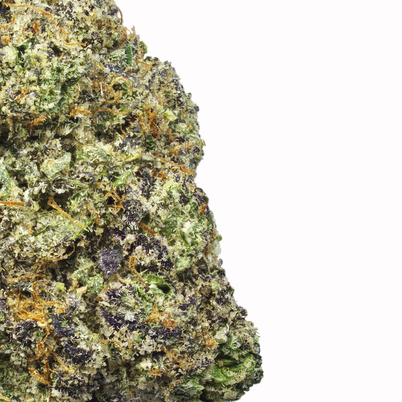 Gelato 41