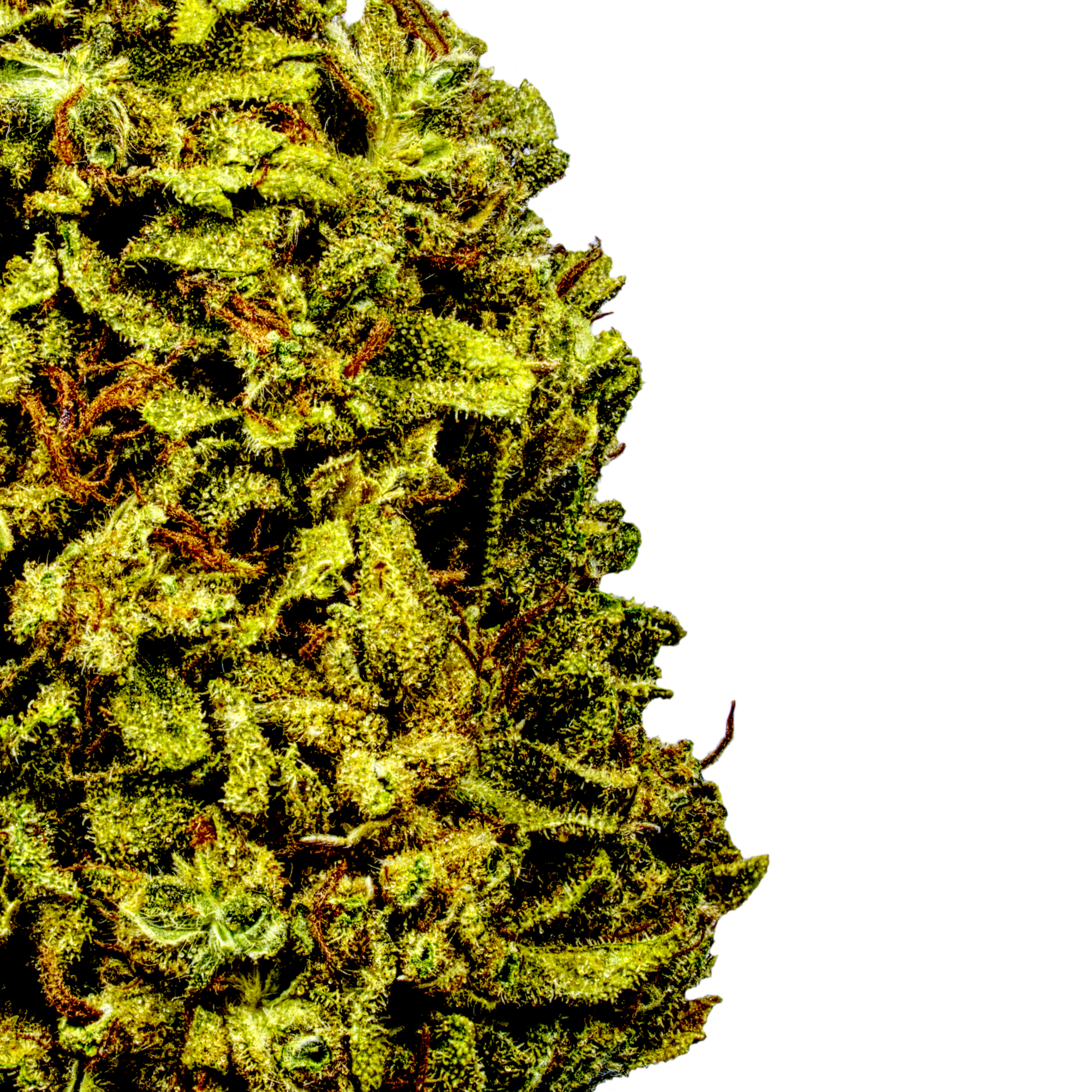 Durban Poison (BOGO)