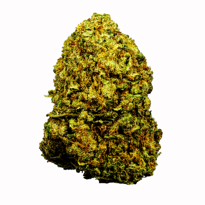 JacK Herer