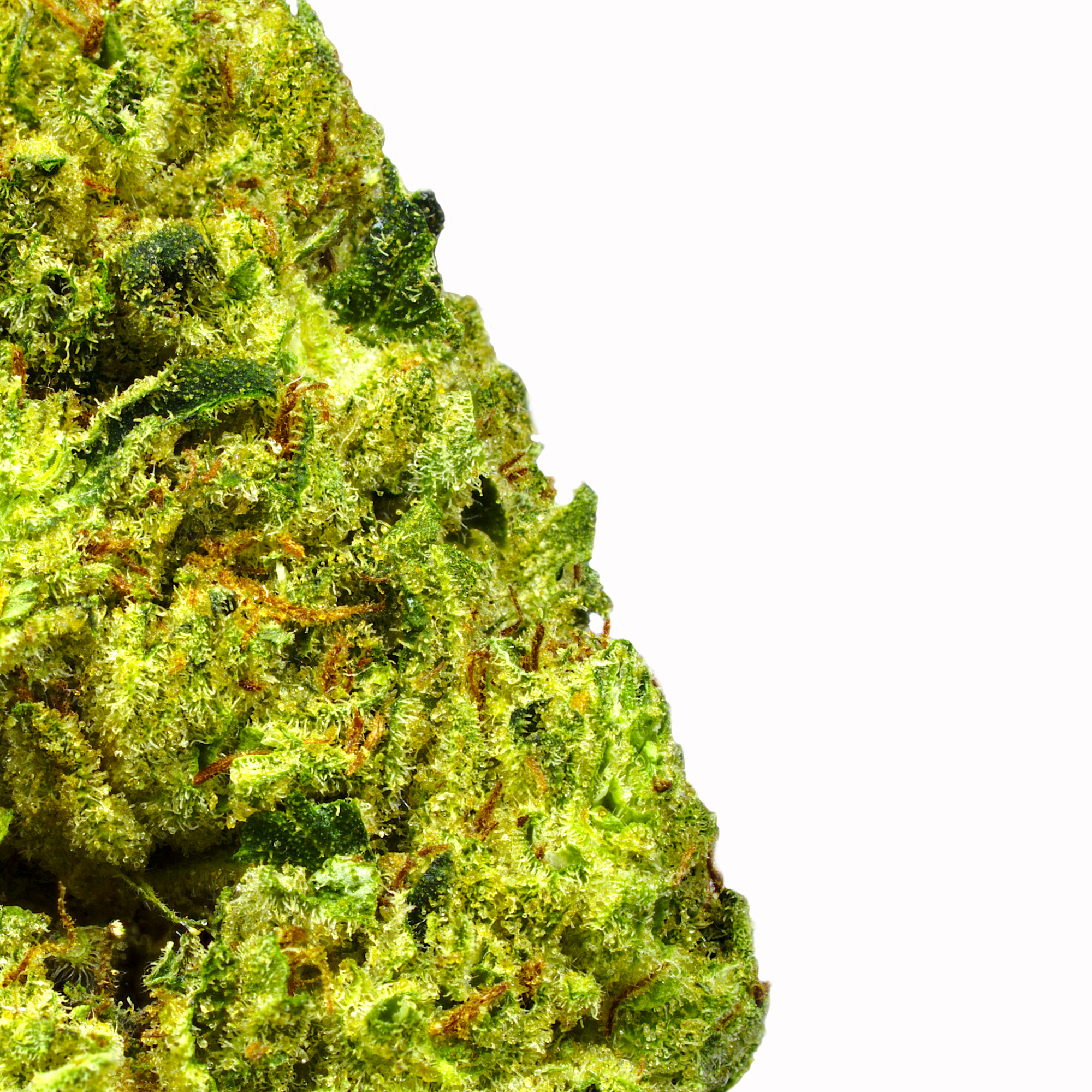 Lemon Jack