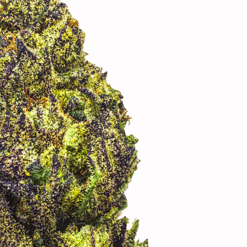 Peanut Butter Breath