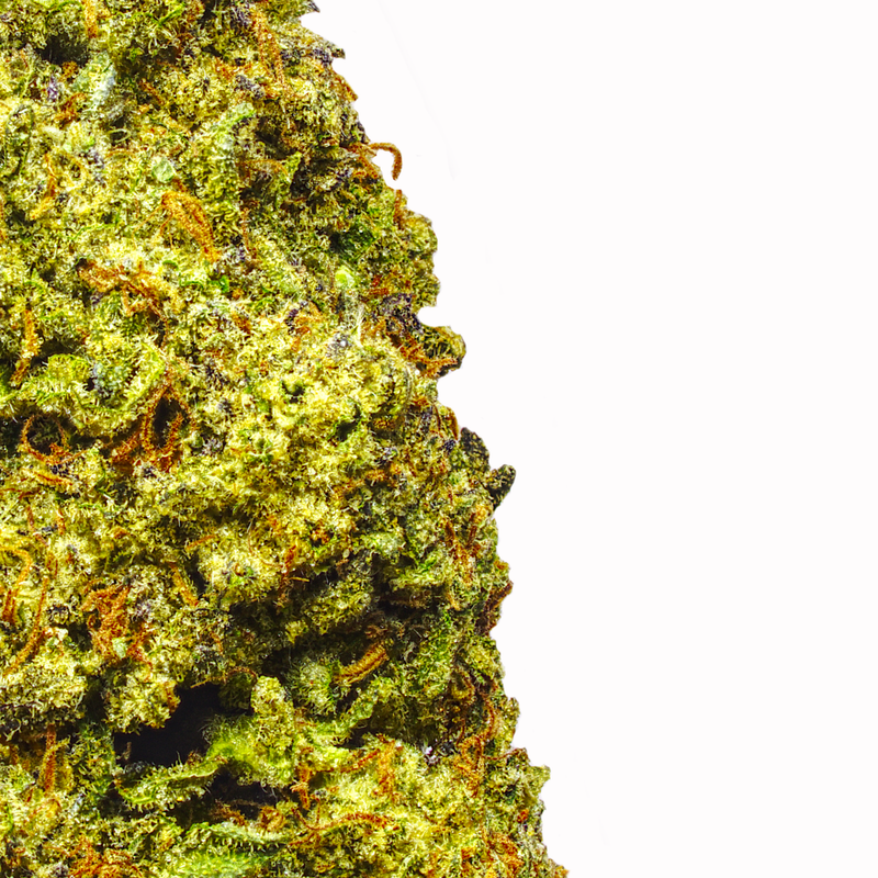 Purple Punch