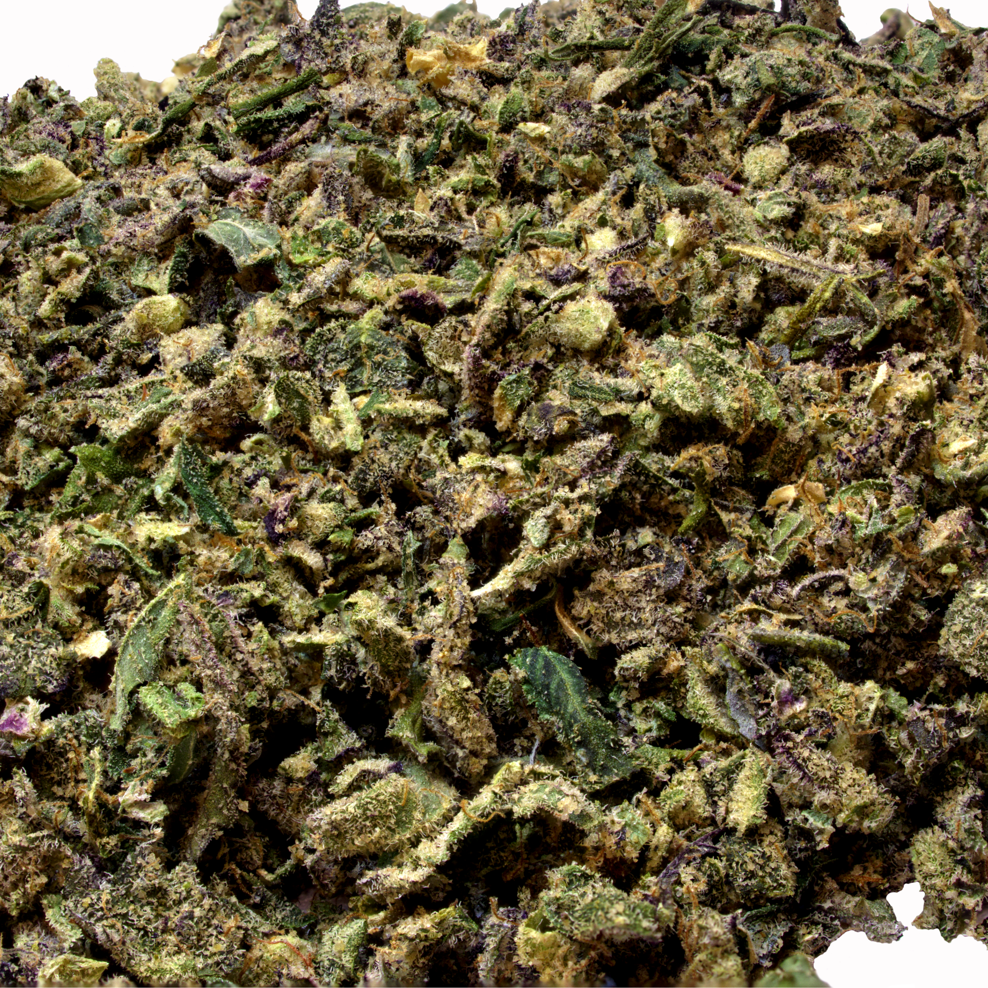 Gas Face Trim (Exotic)